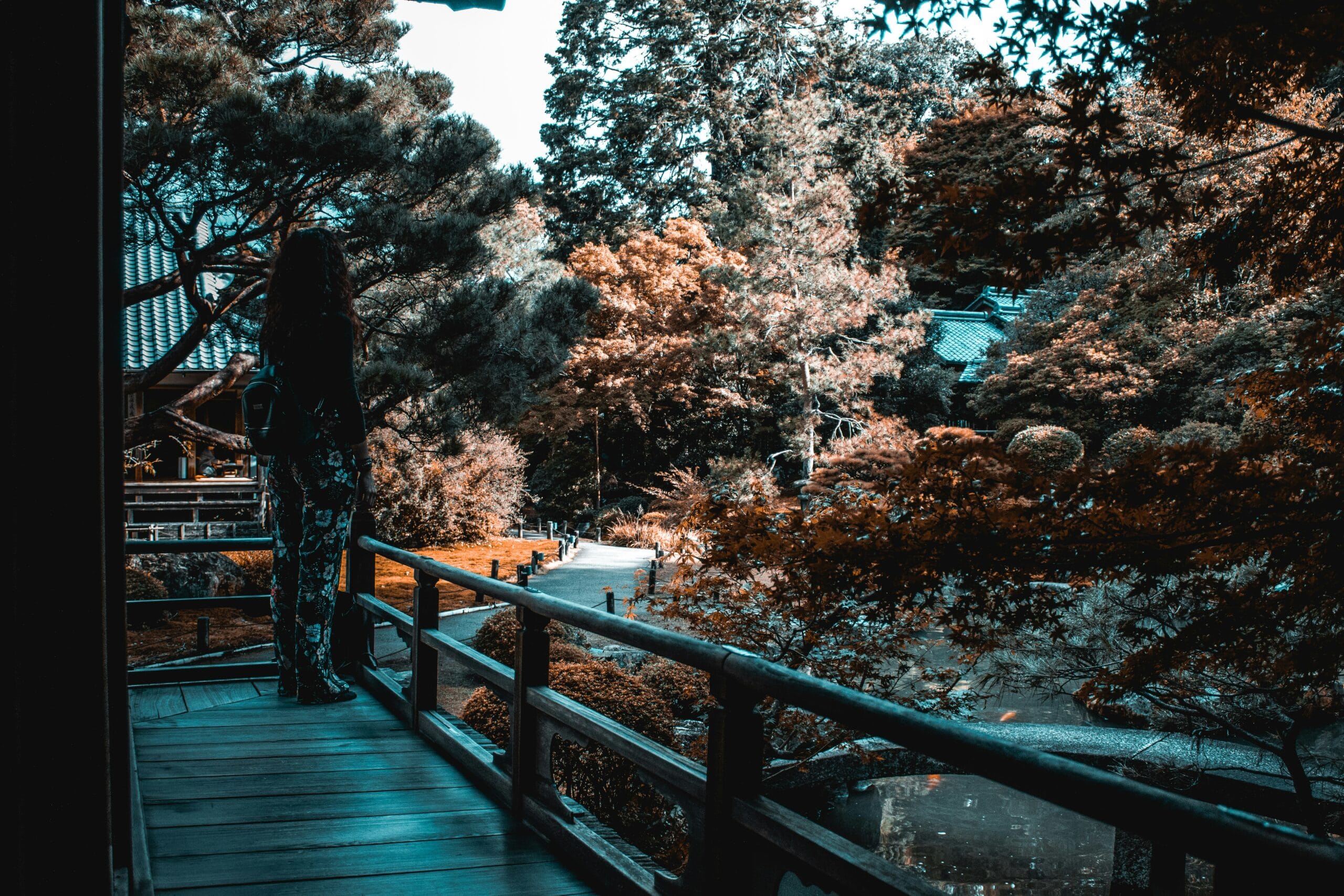 Plitvice Lakes scenic viewpoints and natural beauty