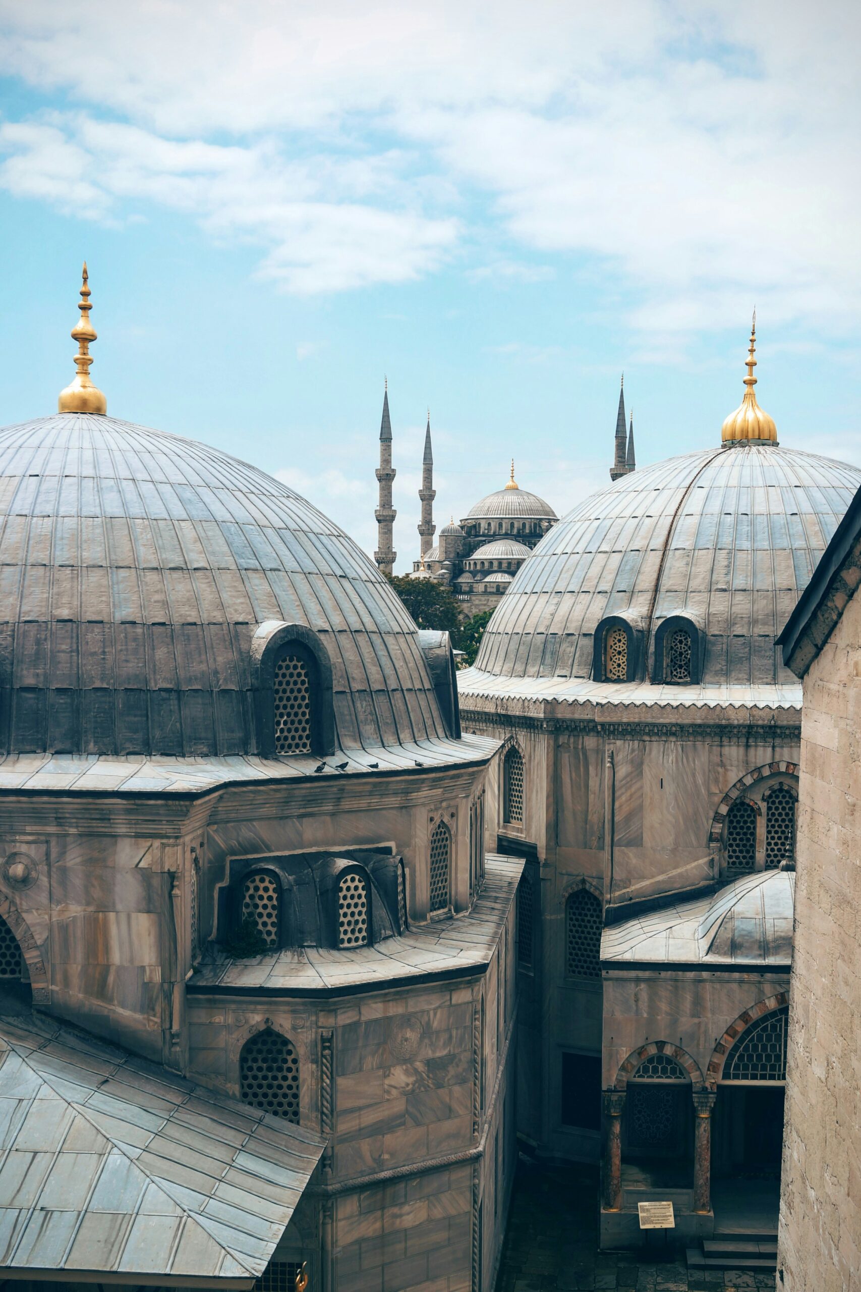 Turkish cuisine preparation