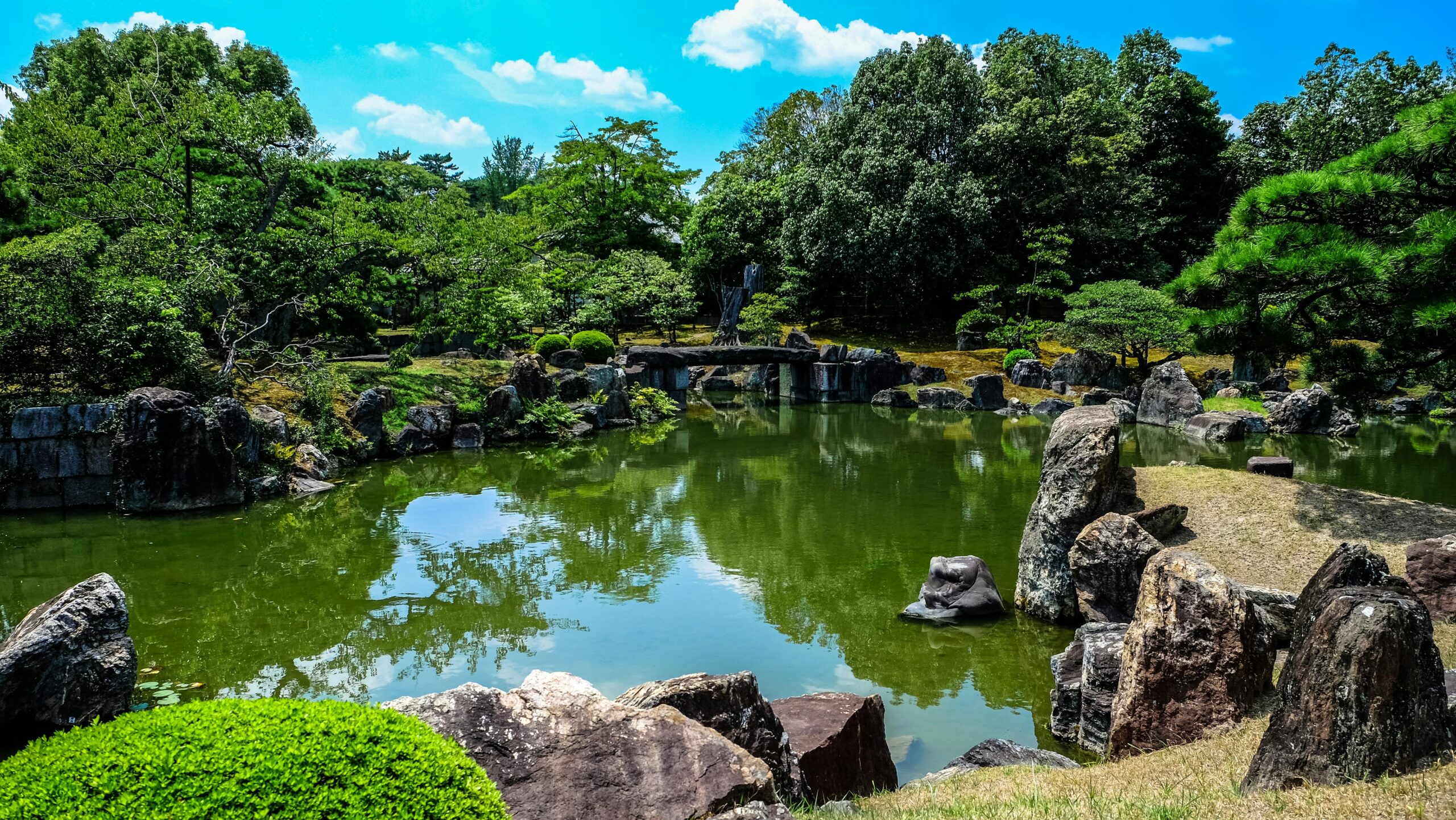 Scenic view by Francesco Ungaro