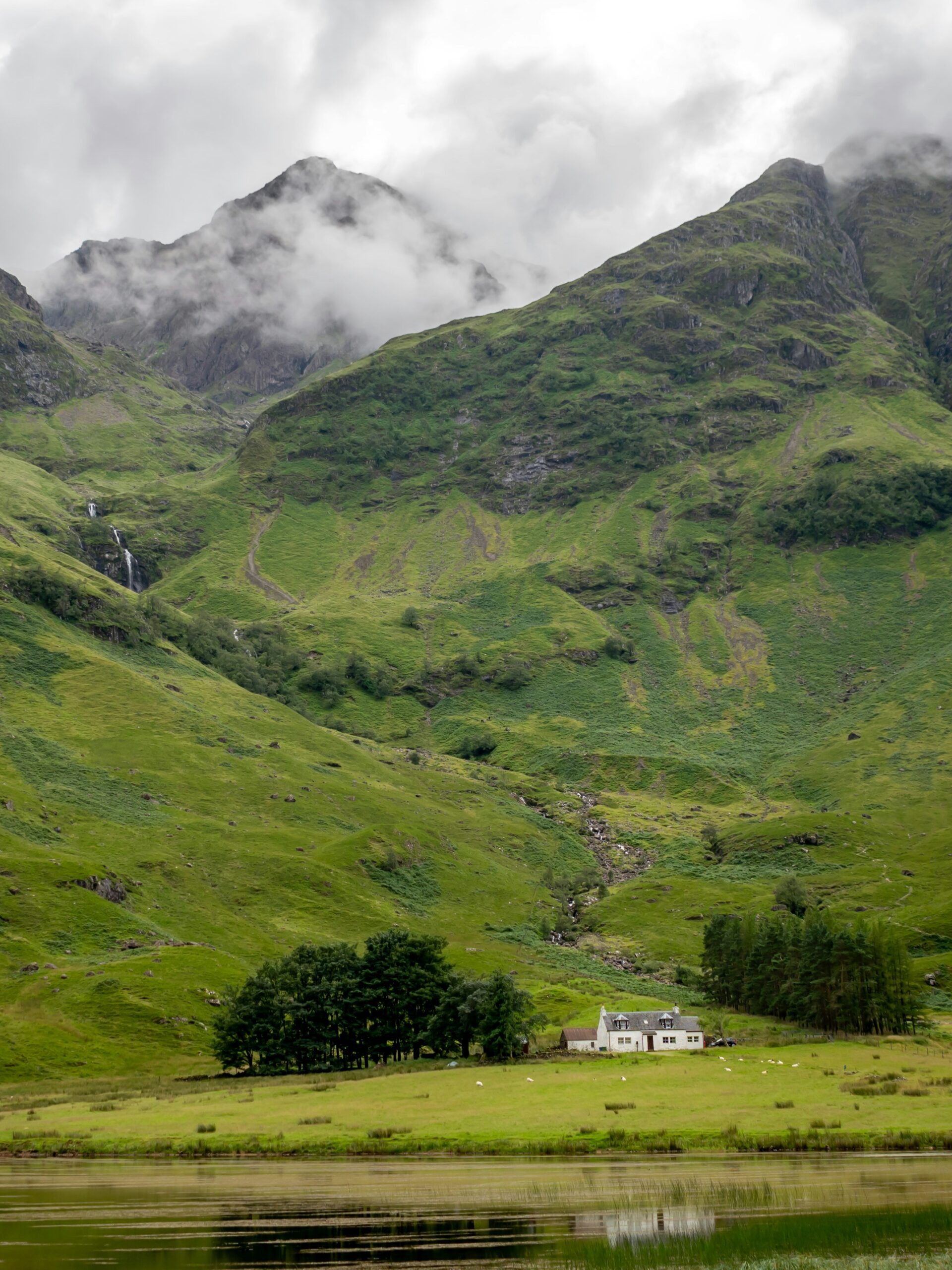Glencoe Seasonal Beauty