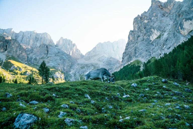 Flights to Austria