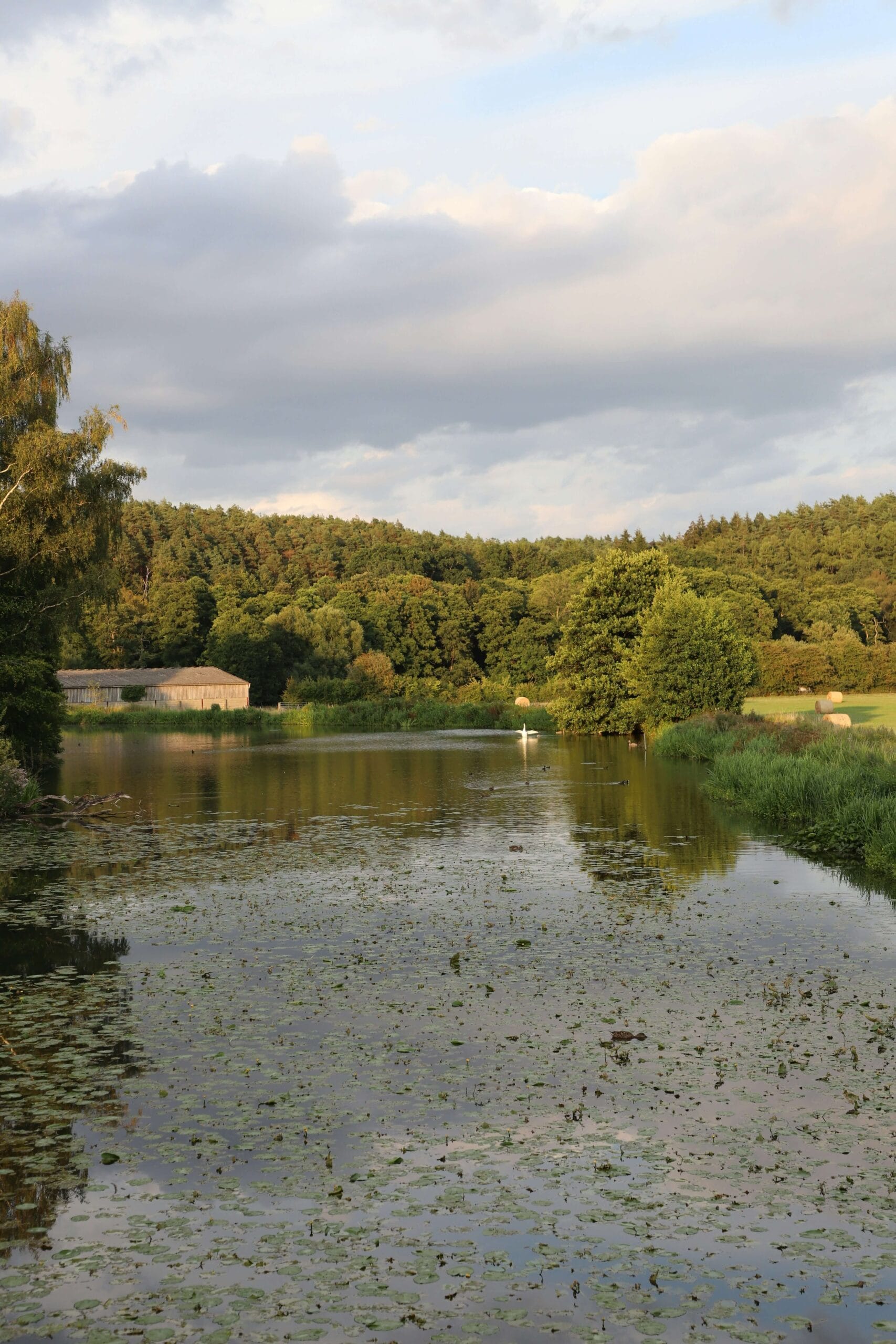 British Countryside Adventure