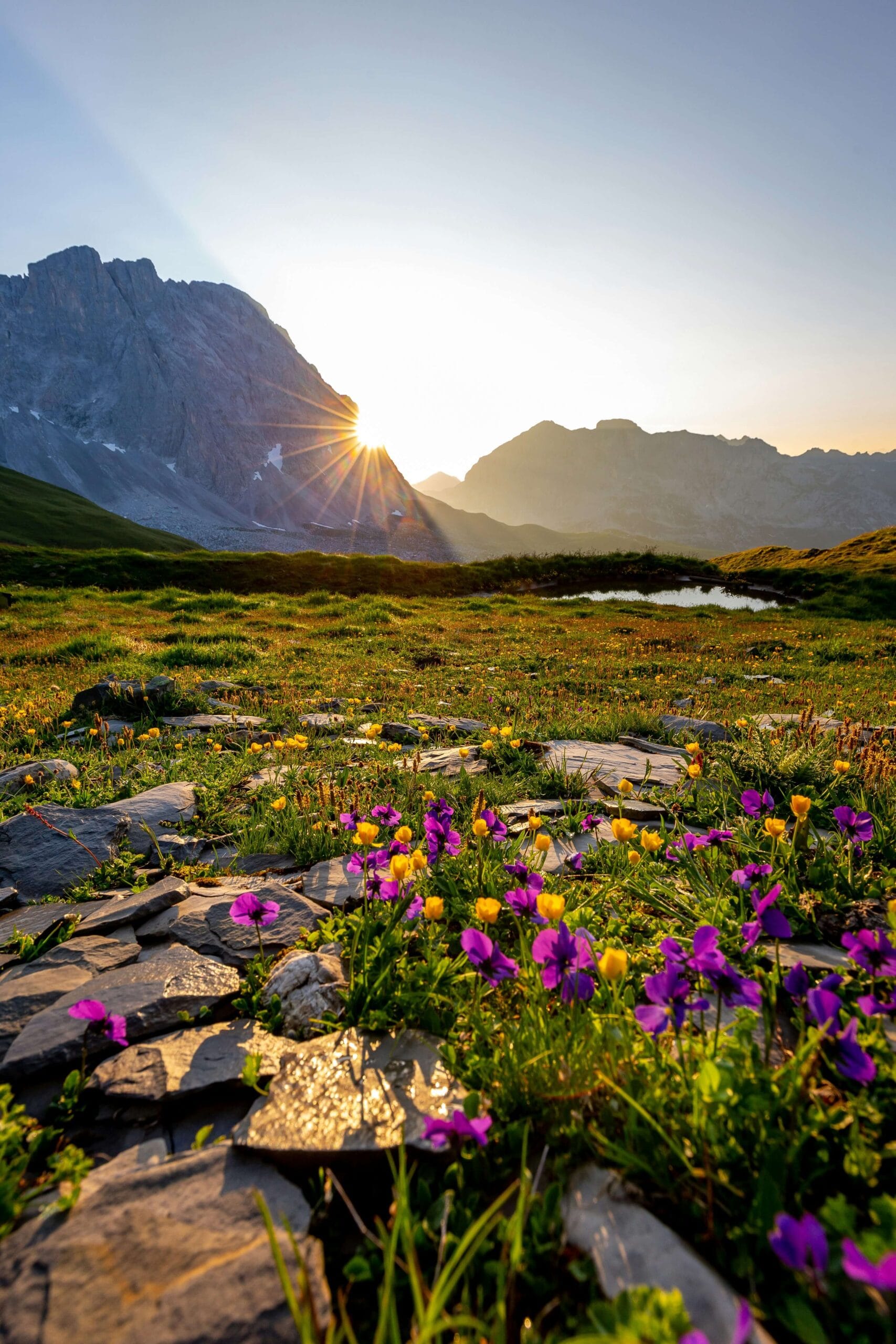 Historic Polish architecture