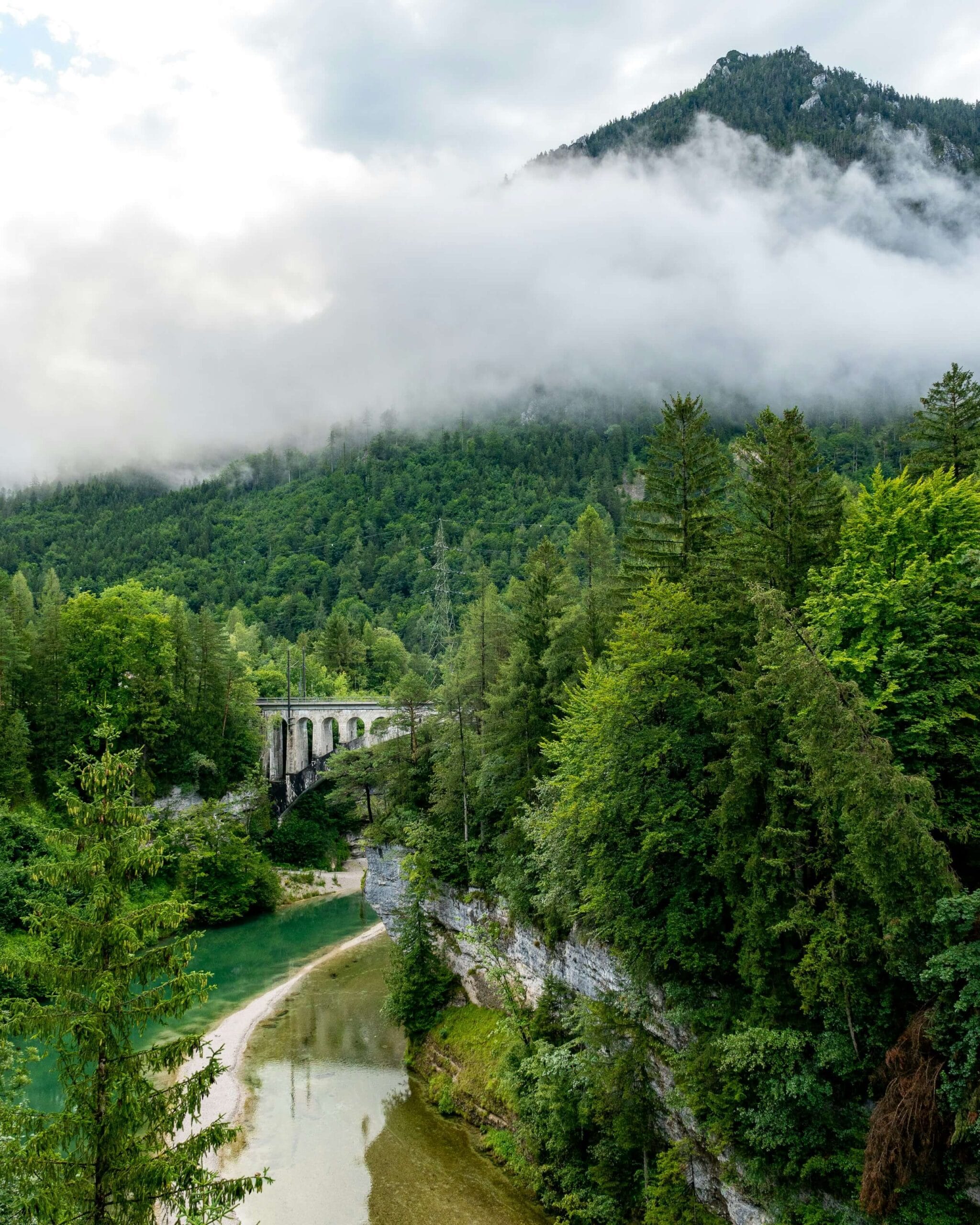 The Palm zone tropical pools