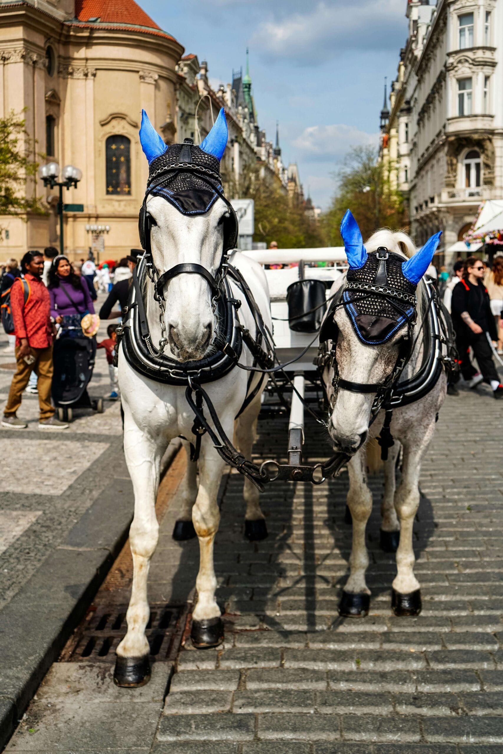 Prague in spring with blooming trees