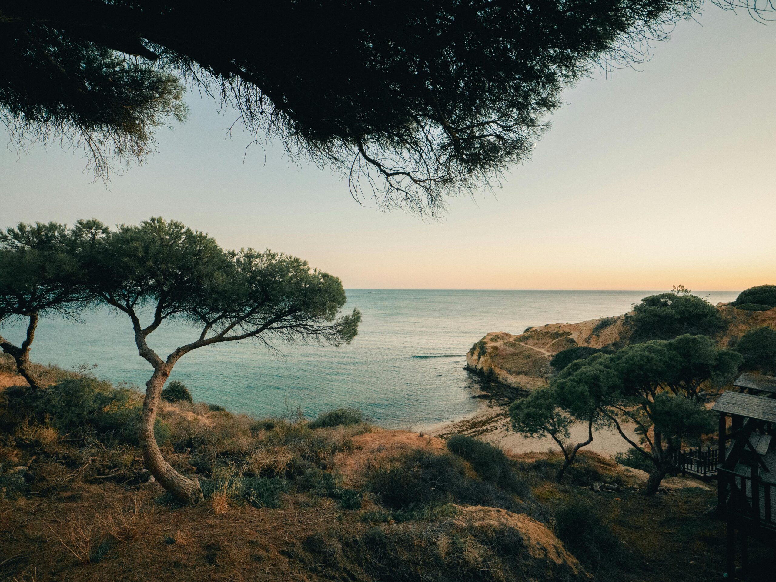 Vibrant Albufeira nightlife and marina