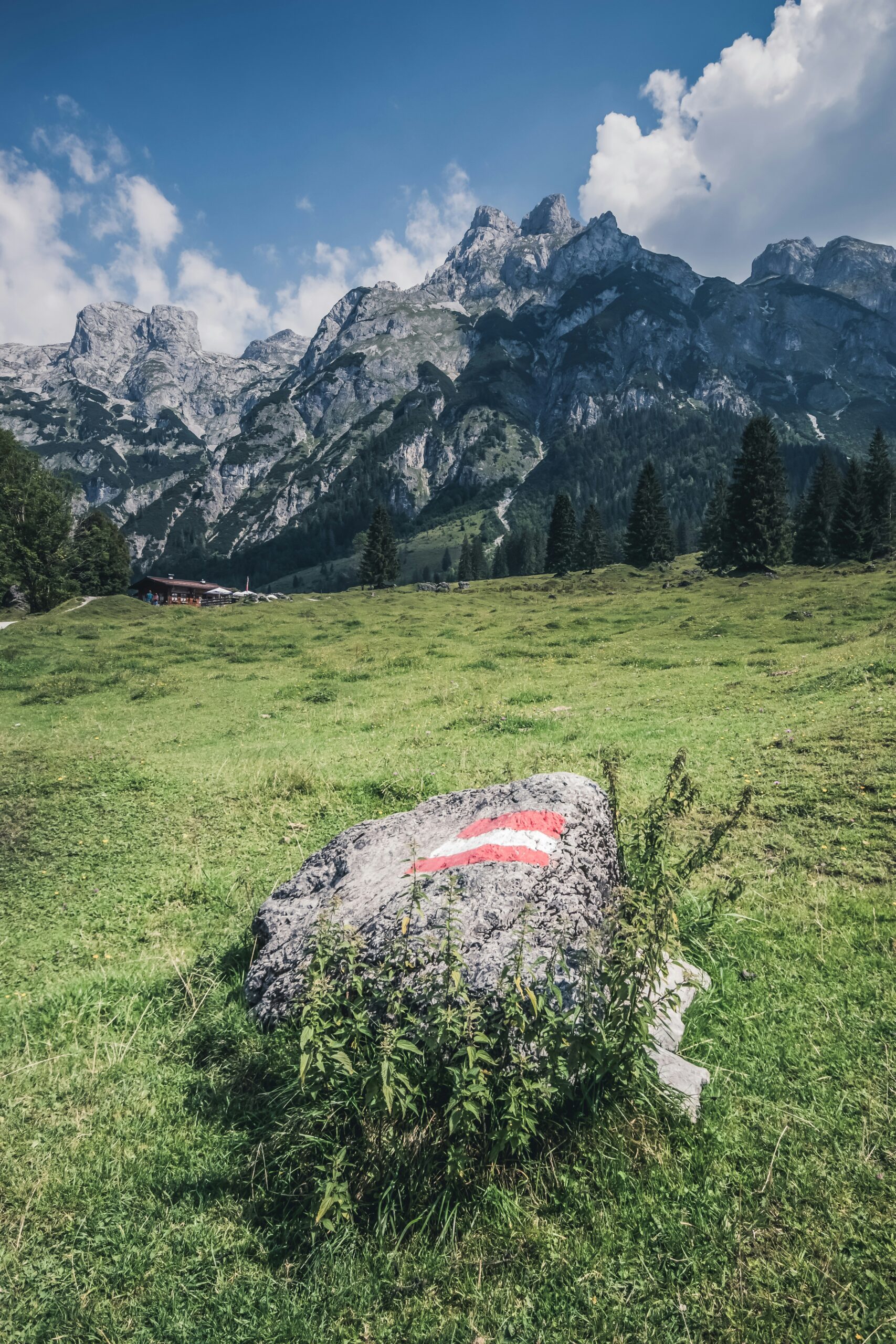 Austrian Alpine Mountain Vista