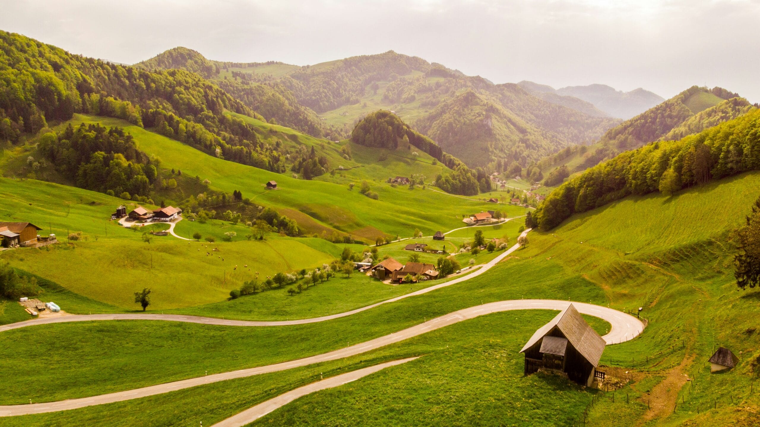Swiss public transport train interior
