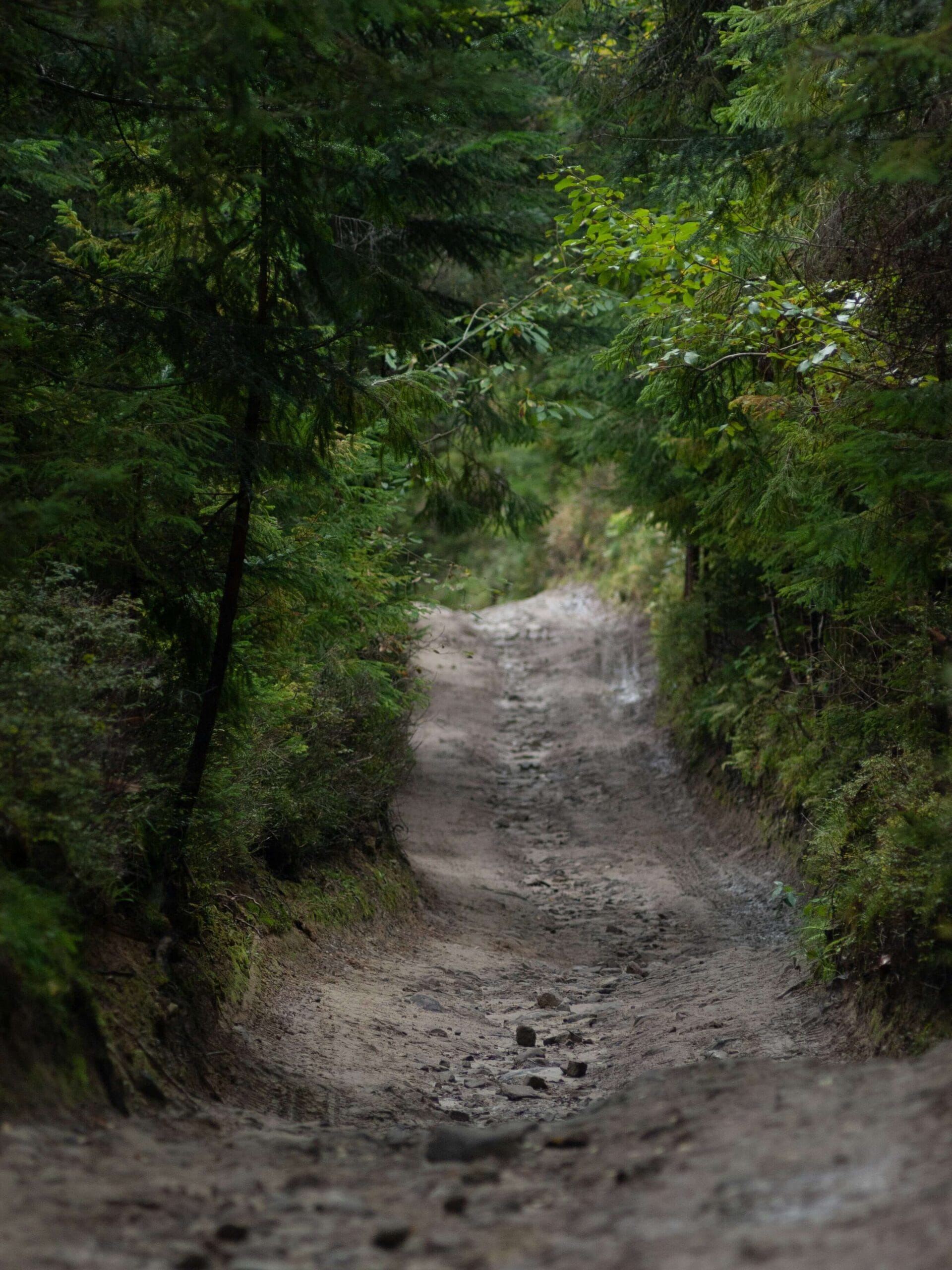 Travel first aid kit and health essentials