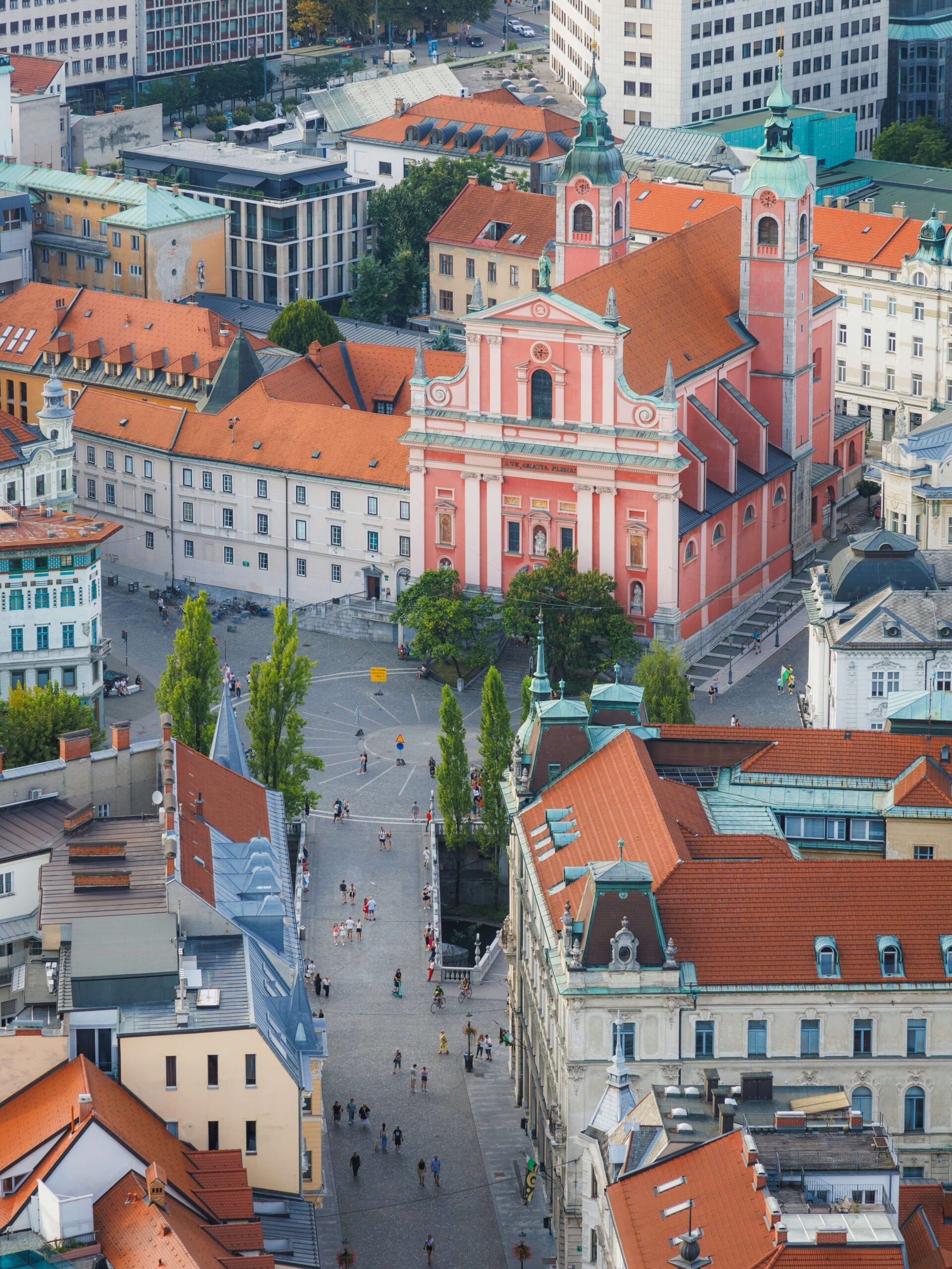 Ljubljana cityscape with castle