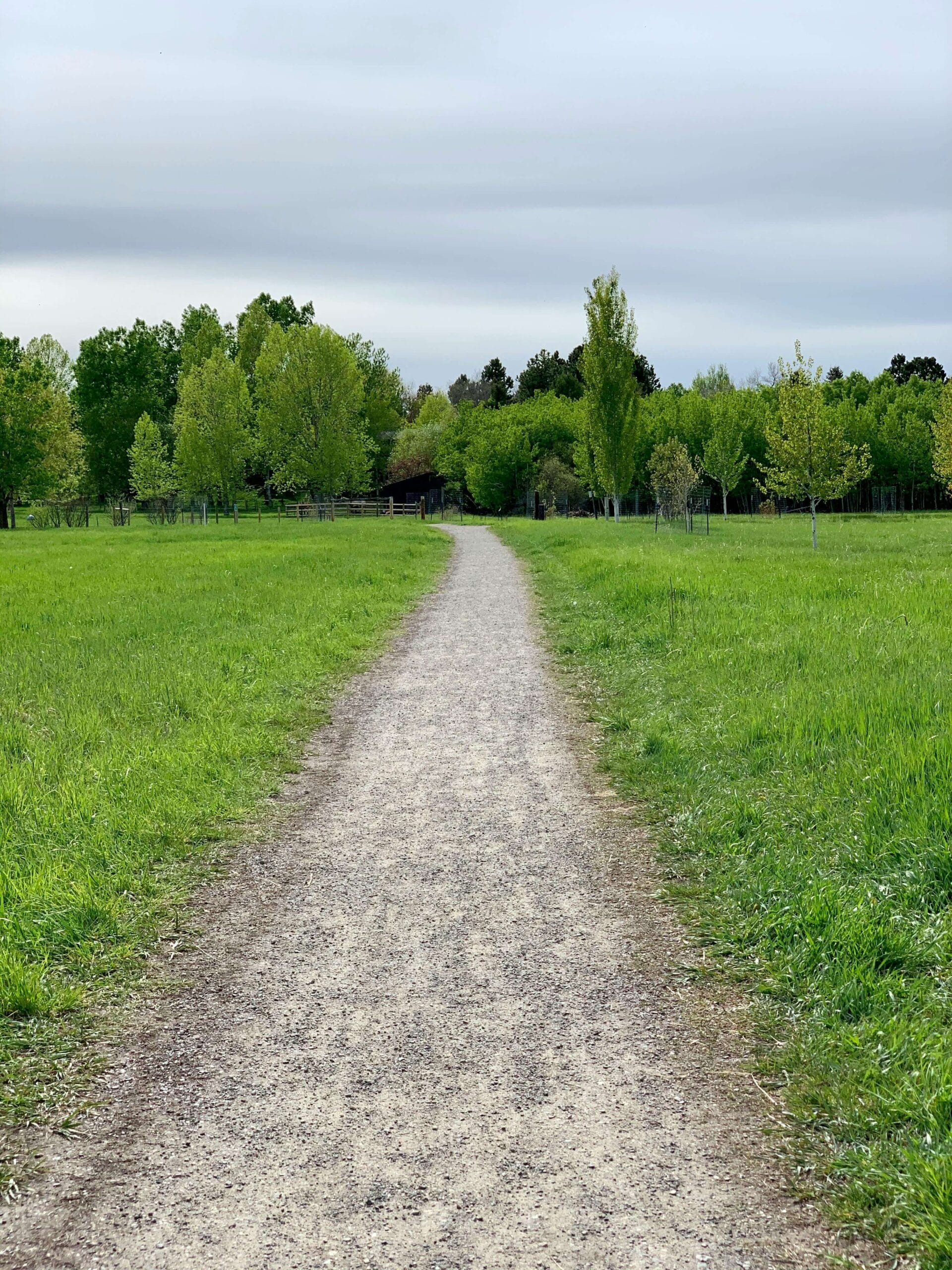 Belgrade Theatre Audience