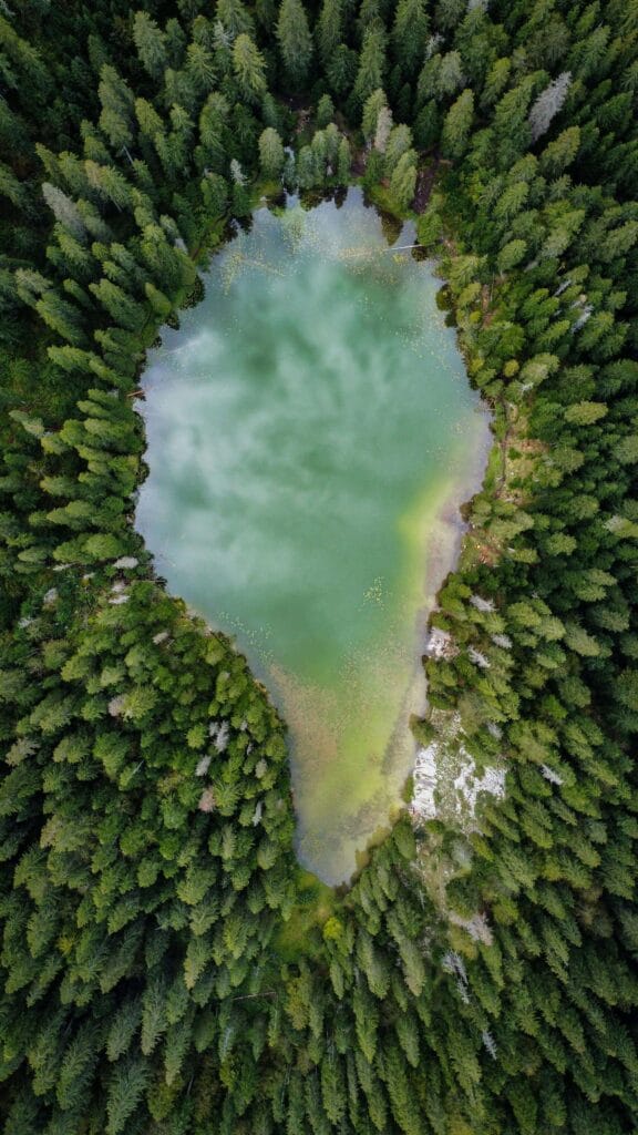 flights to montenegro