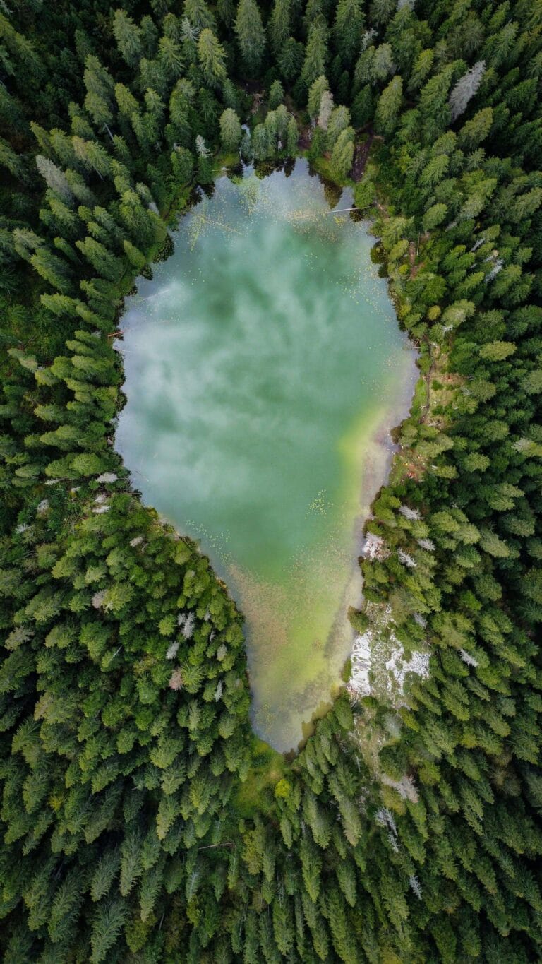 flights to montenegro